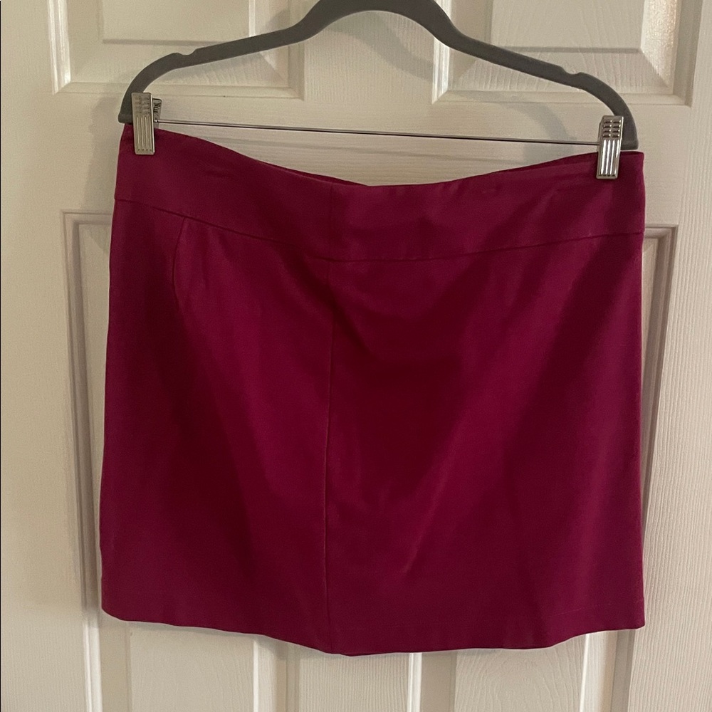 Banana Republic Fuchsia Mini Skirt